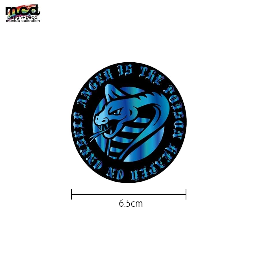 51m5lt4hO+L._UF894,1000_QL80_.jpg